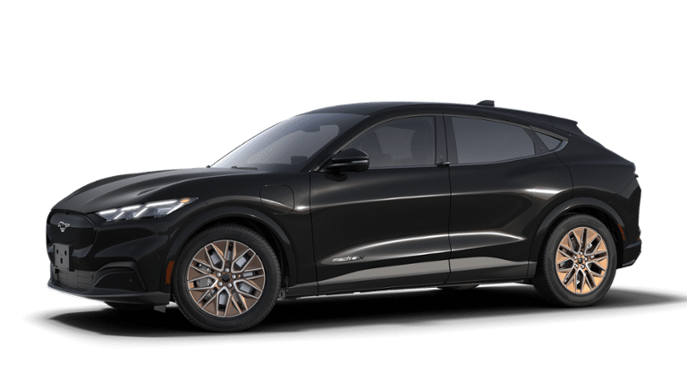New 2025 Ford Mustang Mach-E Premium - photo 33
