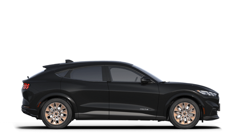 New 2025 Ford Mustang Mach-E Premium - photo 37