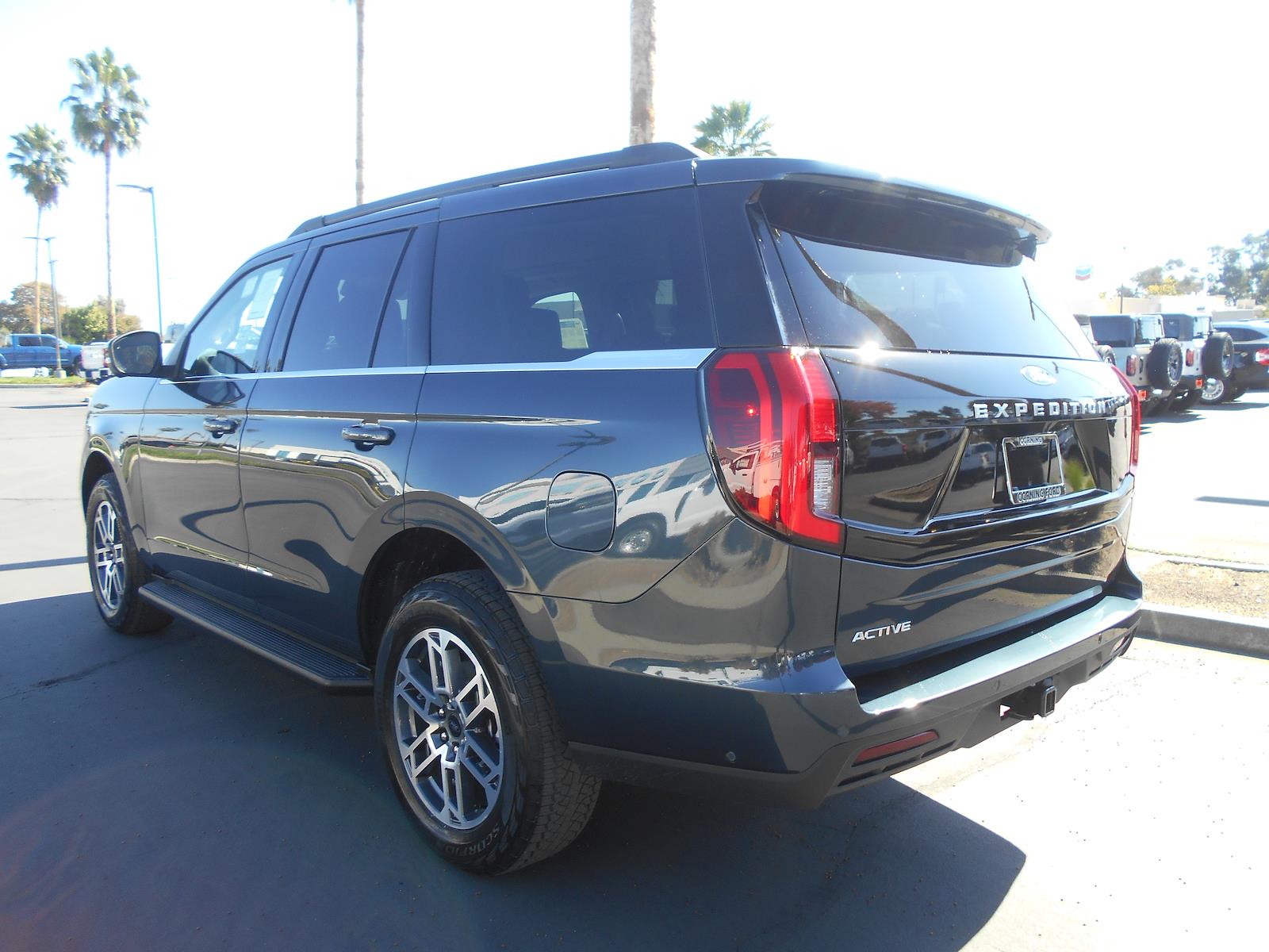 New 2025 Ford Expedition ACTIV - photo 30
