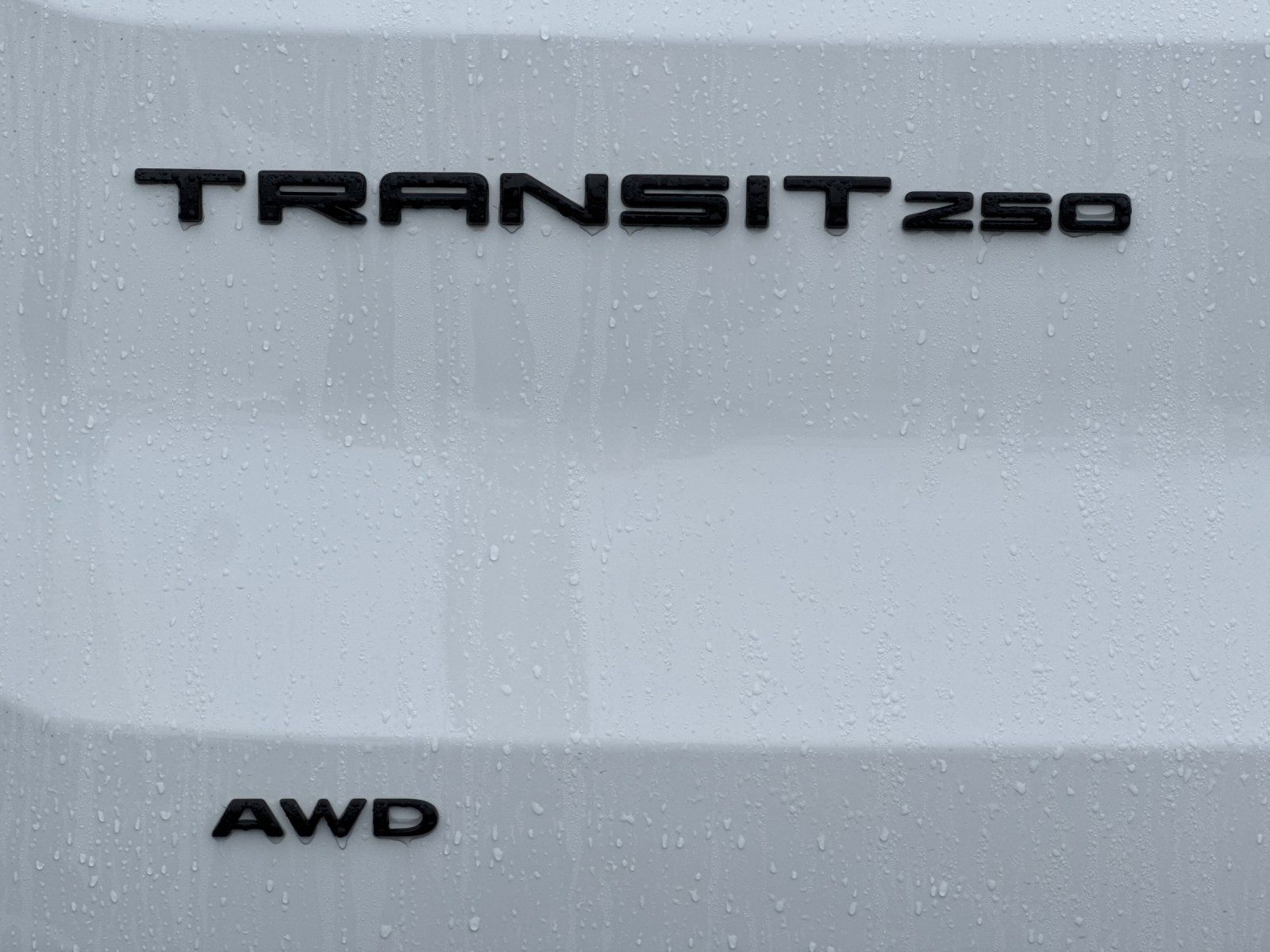 New 2026 Ford Transit 250 Medium Roof Empty Cargo Van - photo 5