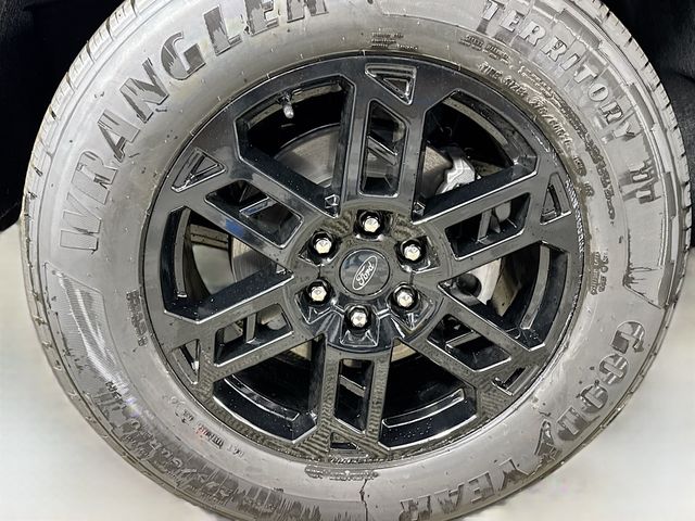 New 2025 Ford Expedition ACTIV - photo 7