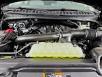 New 2025 Ford Expedition ACTIV thumbnail 6