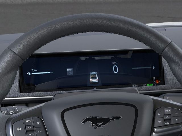 New 2026 Ford Mustang Mach-E Premium - photo 15