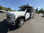 New 2025 Ford F-550 FL Regular Cab 4WD Cab Chassis thumbnail 1