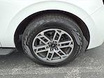 Used 2025 Ford Expedition ACTIV thumbnail 7