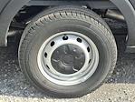 New 2025 Ford Transit 250 Medium Roof Empty Cargo Van thumbnail 5