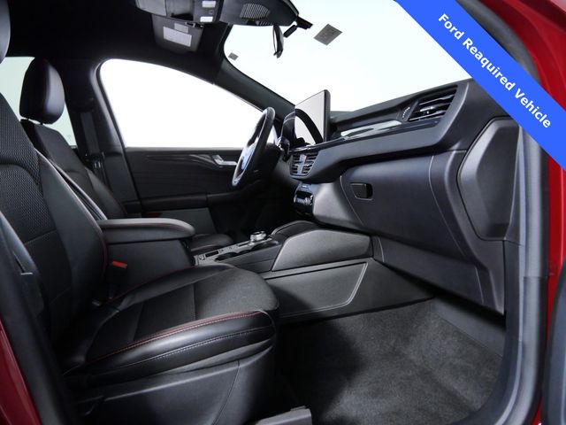 Used 2024 Ford Escape ST-Line - photo 9