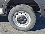 New 2025 Ford Transit 250 Low Roof Empty Cargo Van thumbnail 5
