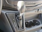New 2025 Ford Transit 250 Low Roof Empty Cargo Van thumbnail 8