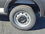 New 2025 Ford Transit 250 Low Roof Empty Cargo Van thumbnail 5
