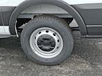 New 2026 Ford Transit 150 Low Roof Empty Cargo Van thumbnail 5