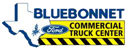 Bluebonnet Ford ci2 Test Site's logo