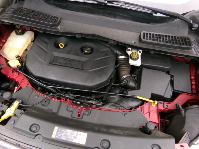 Used 2014 Ford Escape SE - photo 26