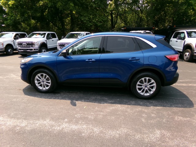 Used 2022 Ford Escape SE - photo 4