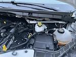 Used 2024 Ford Transit 250 Low Roof Empty Cargo Van thumbnail 5