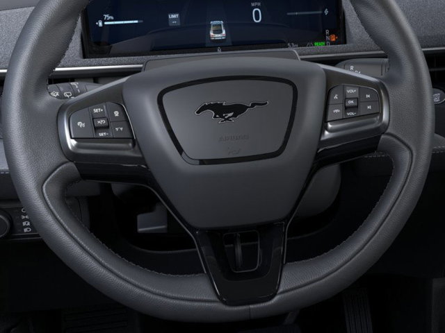 New 2025 Ford Mustang Mach-E Premium - photo 12