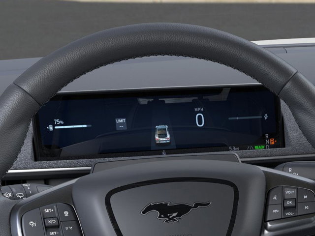 New 2025 Ford Mustang Mach-E Premium - photo 13