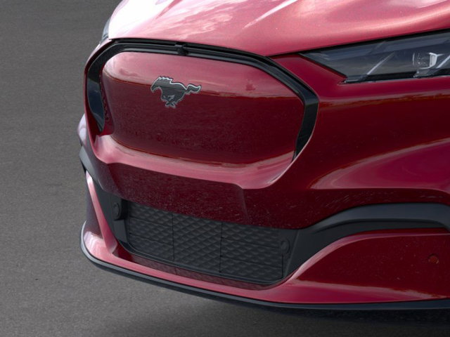 New 2025 Ford Mustang Mach-E Premium - photo 17