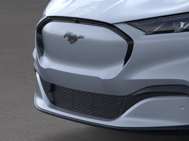 New 2025 Ford Mustang Mach-E Premium - photo 17