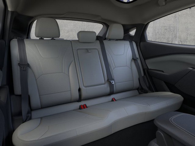 New 2025 Ford Mustang Mach-E Premium - photo 11