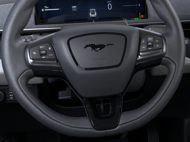 New 2025 Ford Mustang Mach-E Premium - photo 12