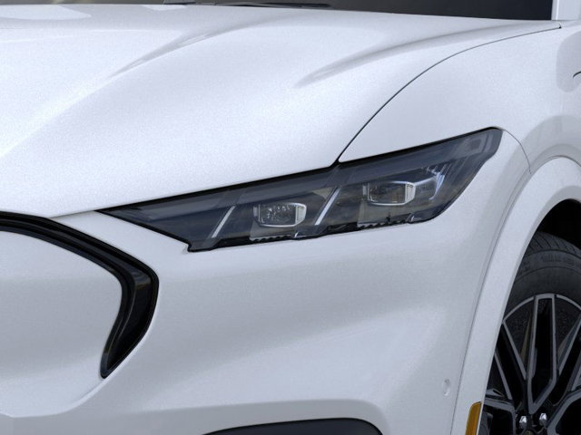 New 2025 Ford Mustang Mach-E Premium - photo 18