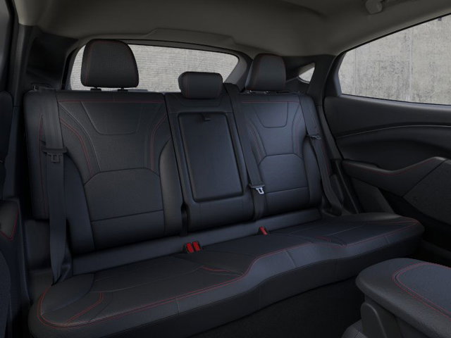 New 2025 Ford Mustang Mach-E Premium - photo 11
