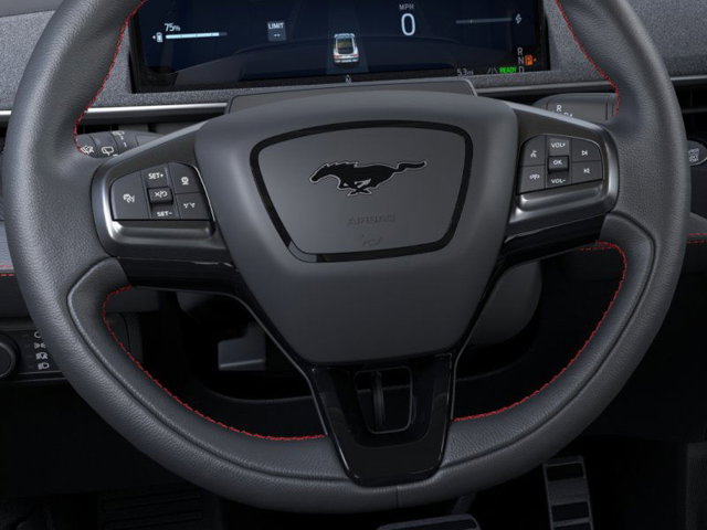 New 2025 Ford Mustang Mach-E Premium - photo 12