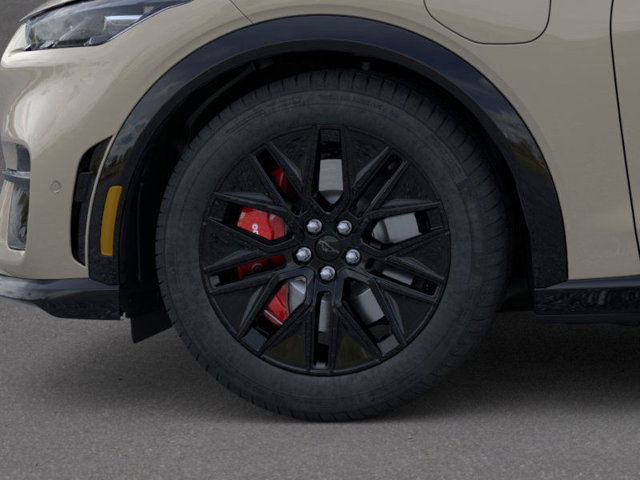 New 2025 Ford Mustang Mach-E Premium - photo 19
