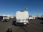 New 2026 Ford Transit 250 Medium Roof Empty Cargo Van thumbnail 3