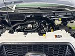 New 2026 Ford Transit 250 Medium Roof Empty Cargo Van thumbnail 1