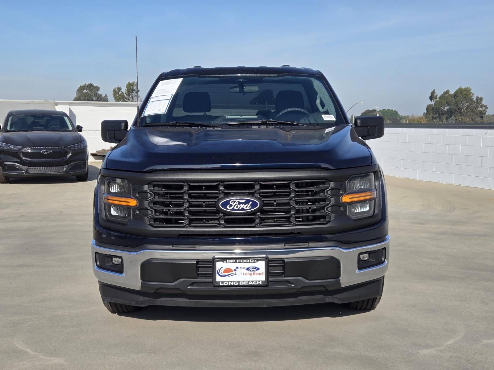 Used 2025 Ford F-150 XL Regular Cab - photo 20