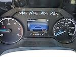 New 2025 Ford F-450 Regular Cab Cab Chassis thumbnail 9