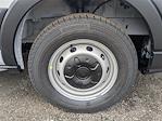 New 2026 Ford Transit 250 Low Roof Empty Cargo Van thumbnail 10