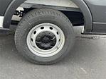 New 2026 Ford Transit 250 Medium Roof Empty Cargo Van thumbnail 6