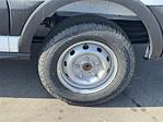 New 2026 Ford Transit 150 Low Roof Empty Cargo Van thumbnail 5