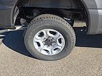 New 2026 Ford F-250 XLT Regular Cab thumbnail 2