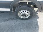 New 2026 Ford Transit 250 Medium Roof Empty Cargo Van thumbnail 2