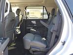 New 2025 Ford Expedition ACTIV thumbnail 11