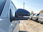 New 2025 Ford Expedition ACTIV thumbnail 5