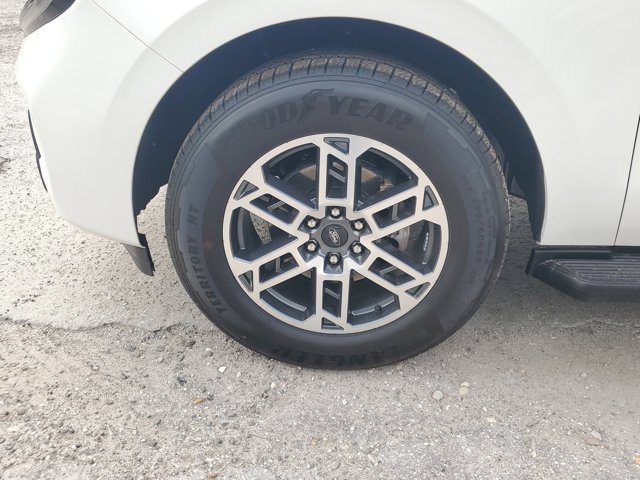 New 2026 Ford Expedition ACTIV - photo 5