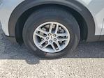 New 2026 Ford Explorer ACTIV thumbnail 5