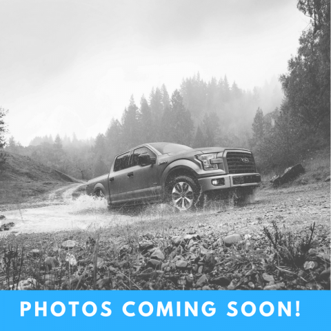 New 2026 Ford Expedition - photo 1