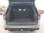 New 2026 Ford Expedition Tremor thumbnail 10