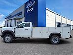 Used 2024 Ford F-550 Regular Cab Cab Chassis thumbnail 2
