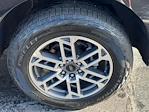 Used 2025 Ford Expedition ACTIV thumbnail 7