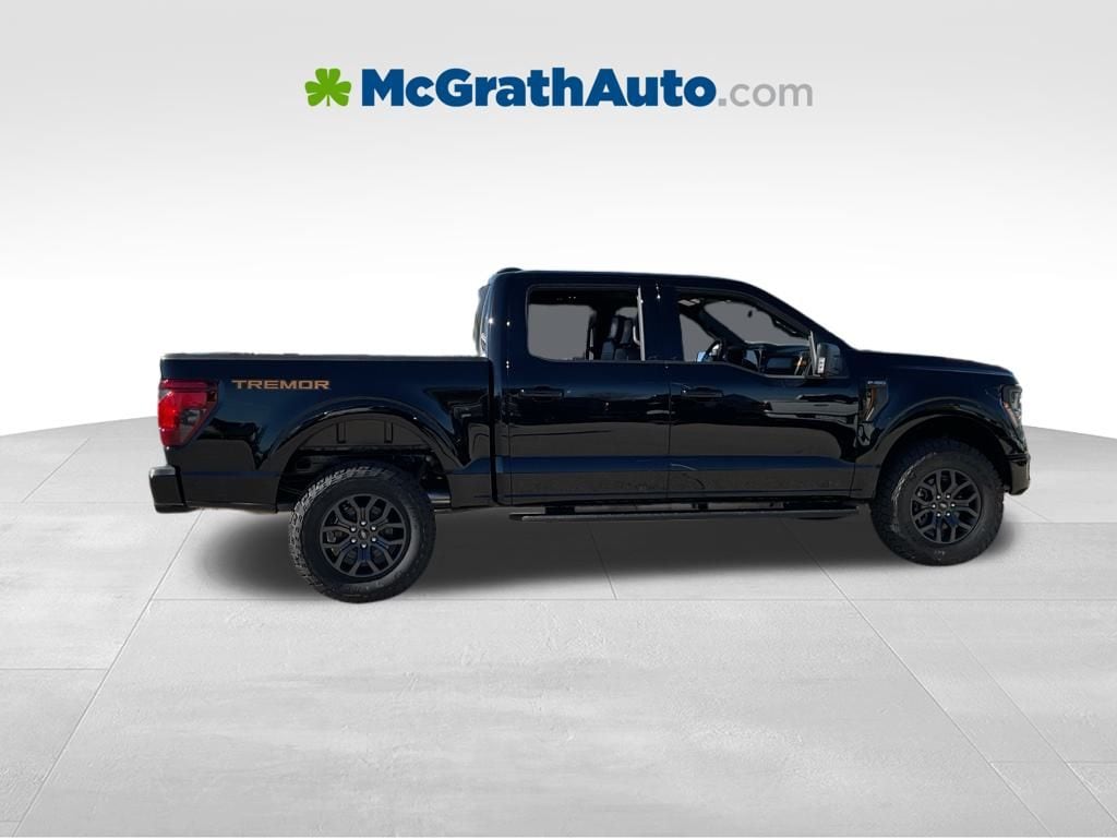 New 2025 Ford F-150 - photo 1