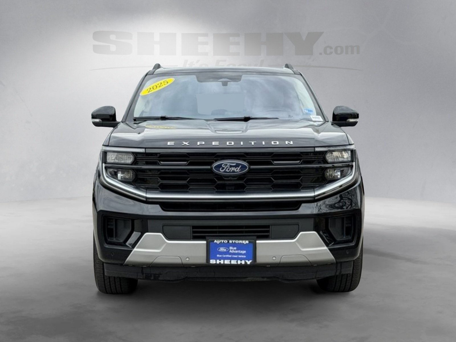 Used 2025 Ford Expedition MAX Platinum - photo 3