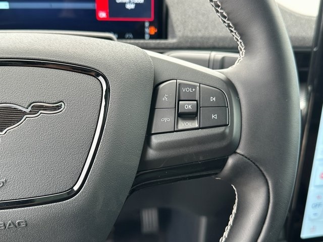 New 2025 Ford Mustang Mach-E - photo 2