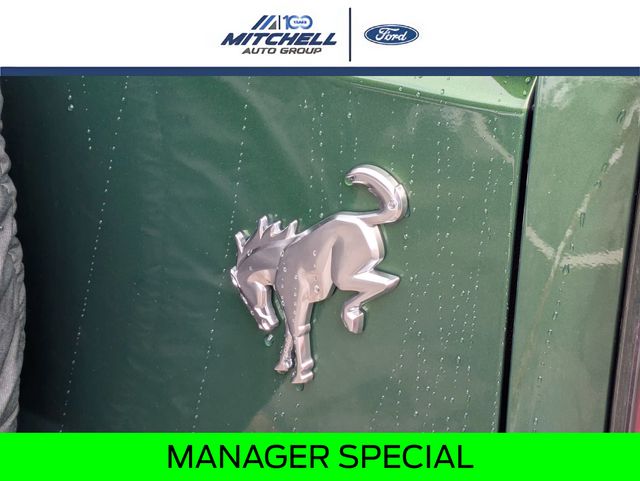 New 2025 Ford Bronco Badlands - photo 31